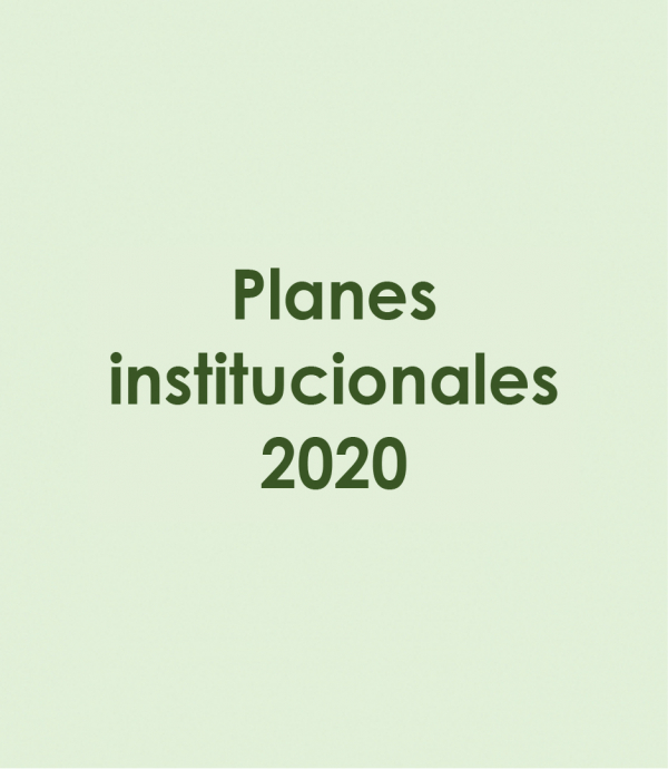 Planes institucionales 2020